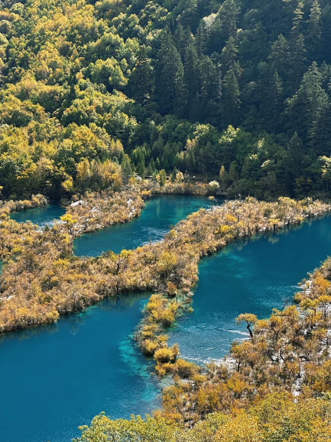 九寨沟避堵路线,把旺季当成淡季玩⛰️