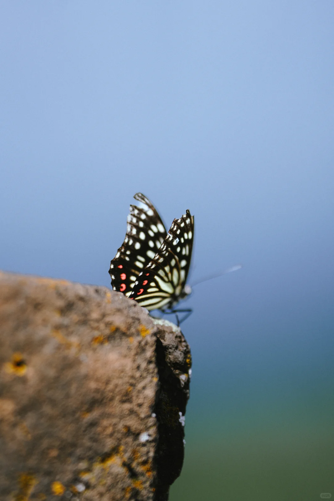 记住!醉美长城在河北金山岭!