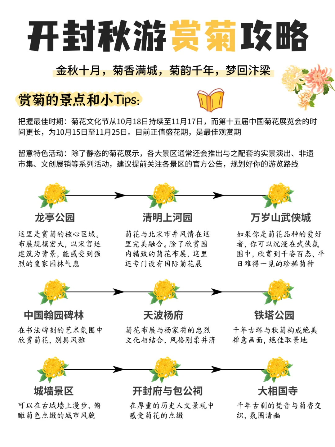 赏秋顶流‼️被河南开封菊展拿捏，太全面啦