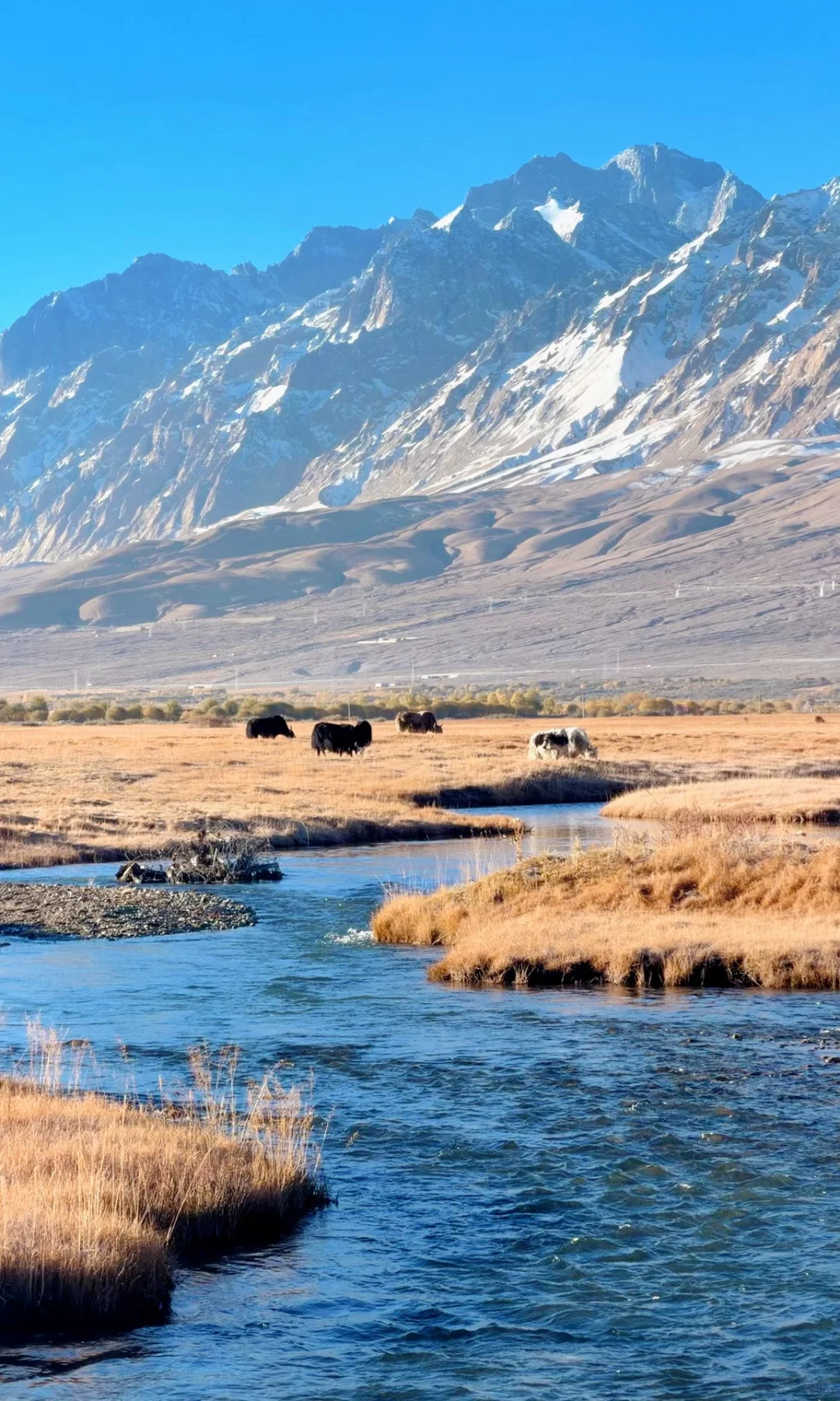 全屏live | 南疆秋天最好的地方都是免费的