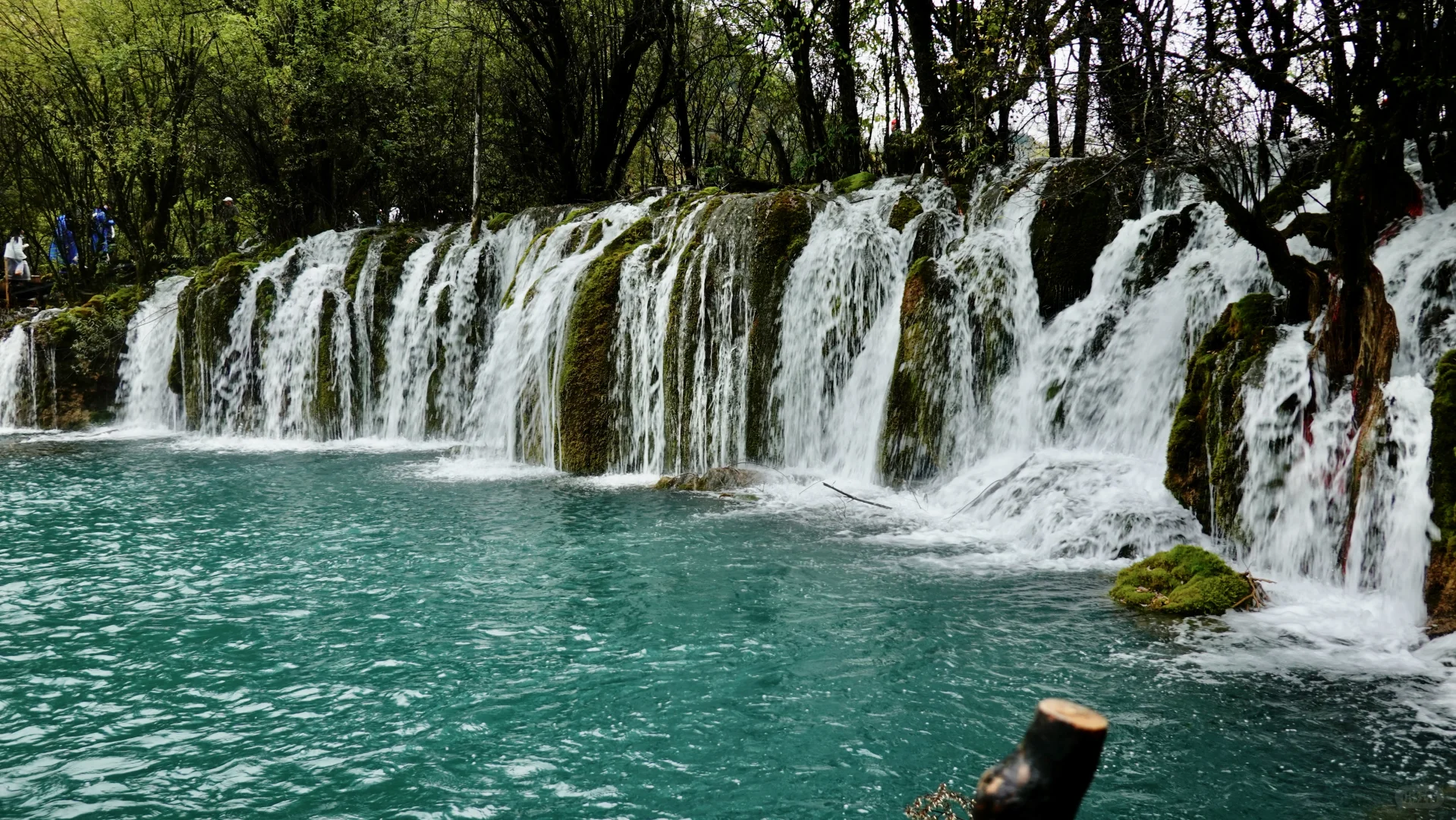 九寨沟·箭竹海瀑布