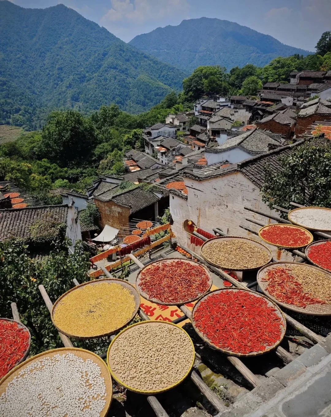 10.17～10.19寻一起去婺源赏秋的搭子 自驾游