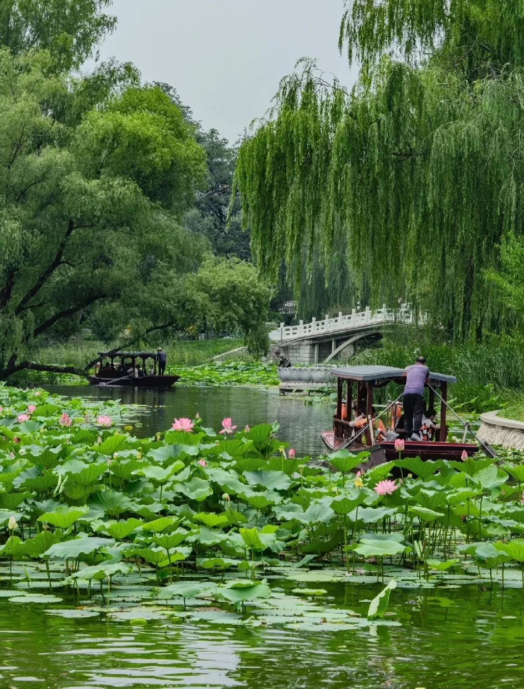 海淀最会玩的女大！必玩公园Top前三！