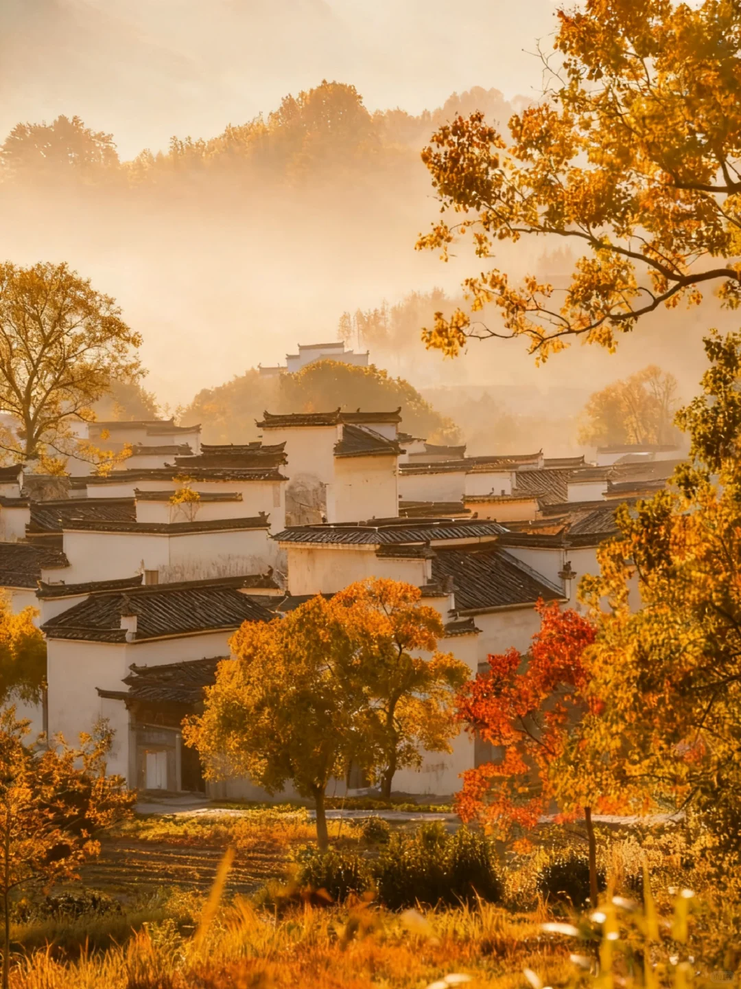 【皖南秋色天花板🍁】3天2晚保姆级攻略！