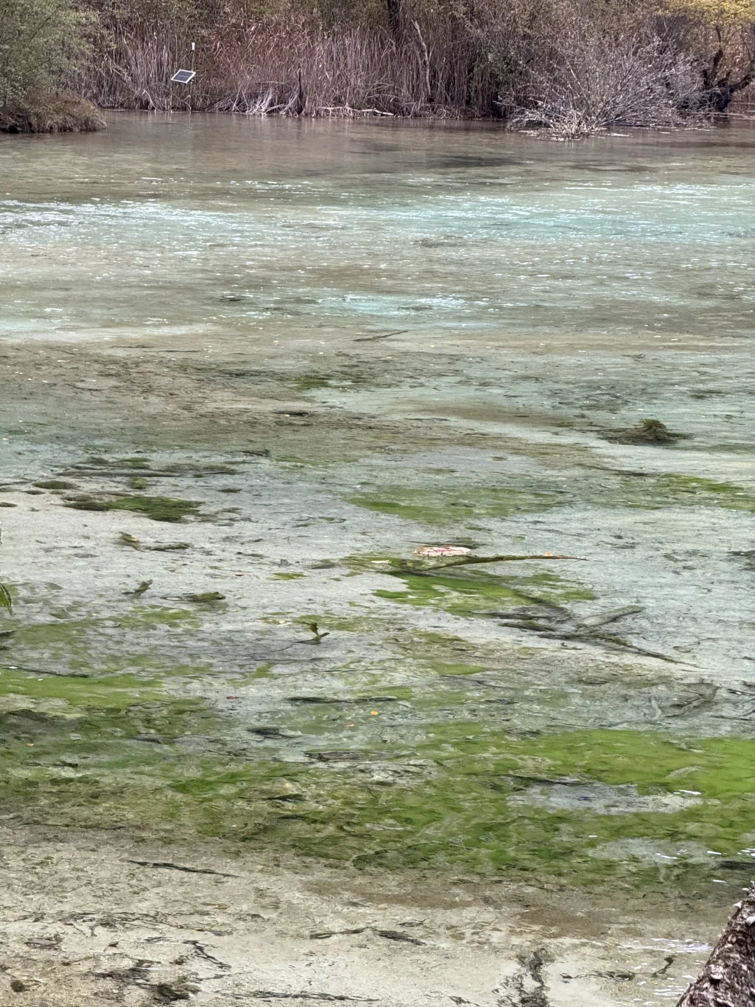 避开人流高峰的超美超详细九寨沟线路