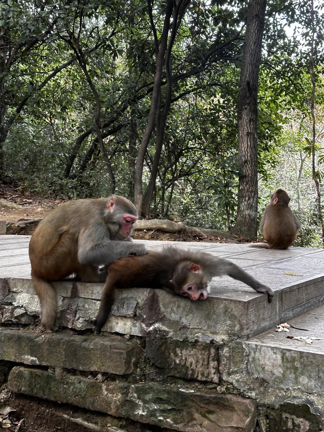 张家界攻略不求人篇！两天一夜