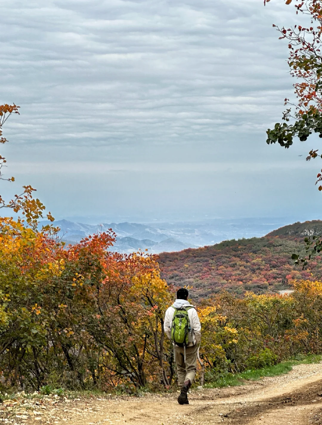邯郸周边游：佛照山赏绝美红叶