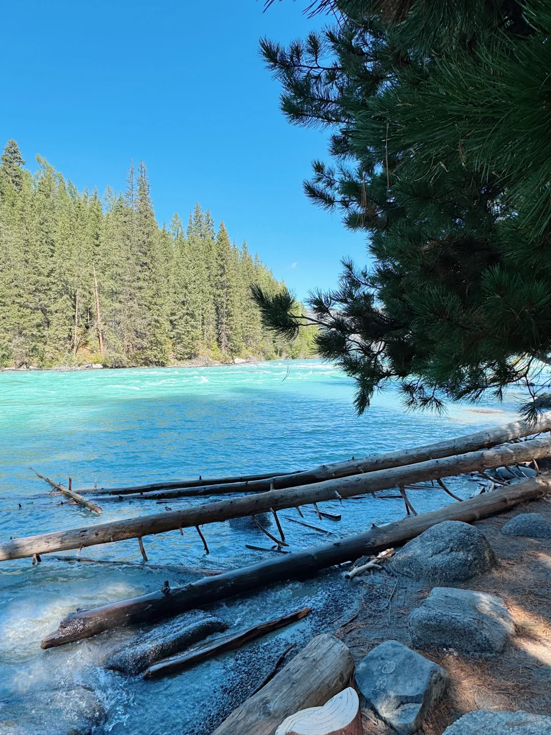 也没人说喀纳斯这么好拍啊🤳🤫美哭我了！