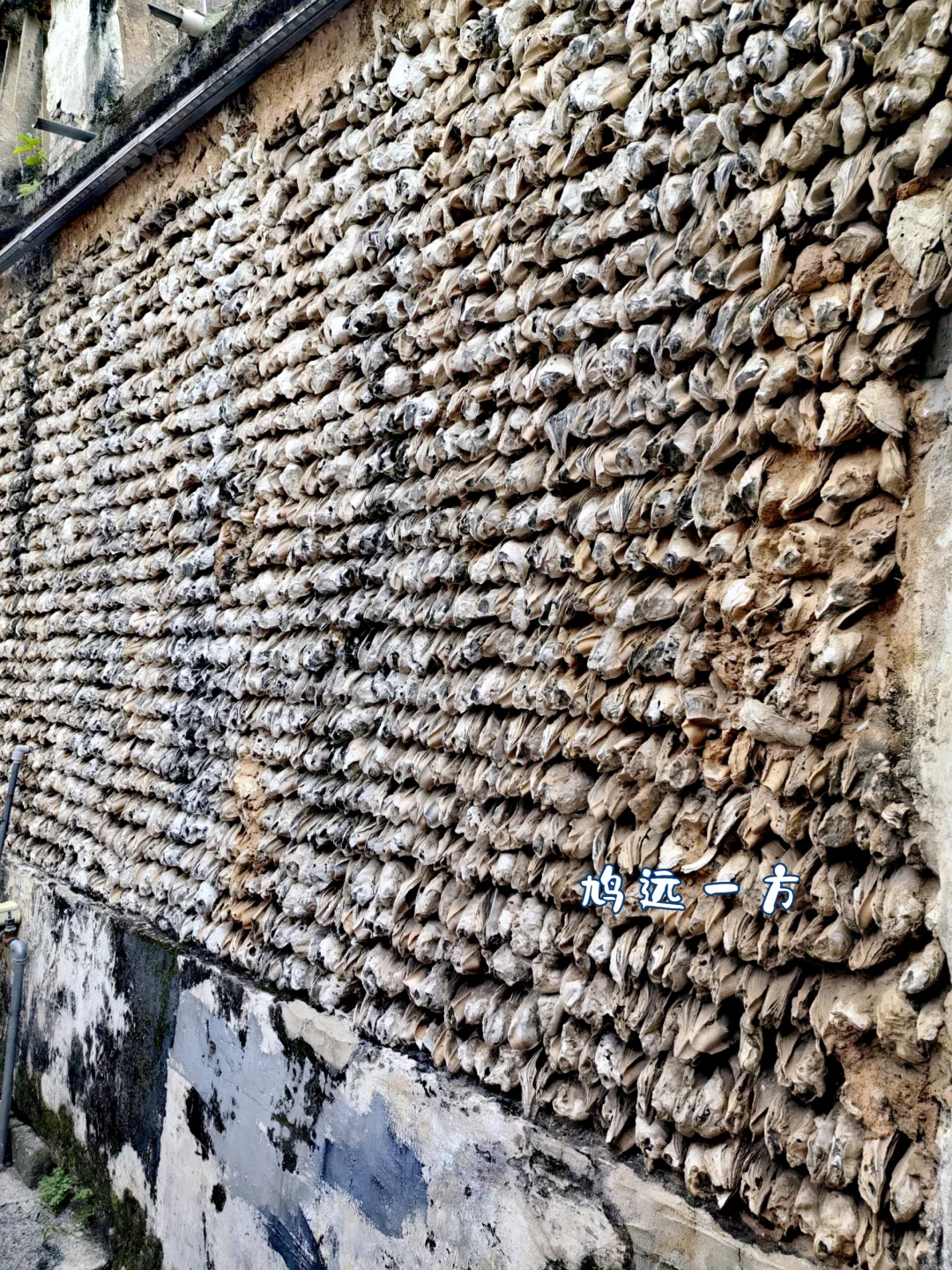 人生建议：到广州少去一个其它景点也要去这