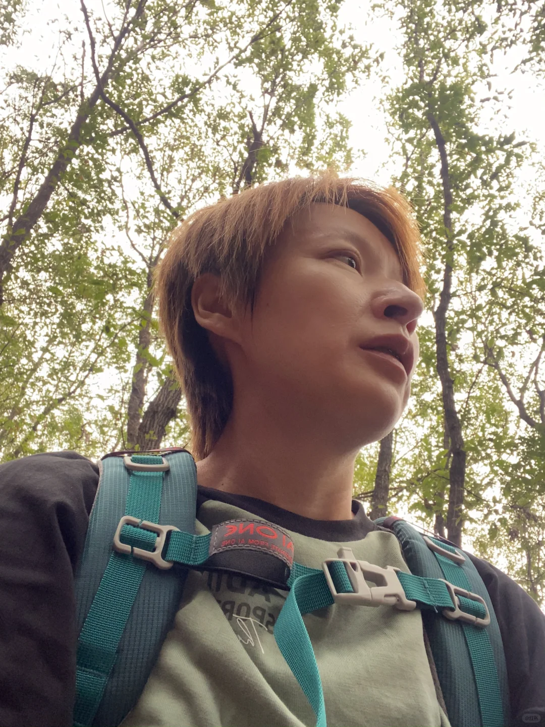 林州天一山，目前免费距离邯郸一个半小时