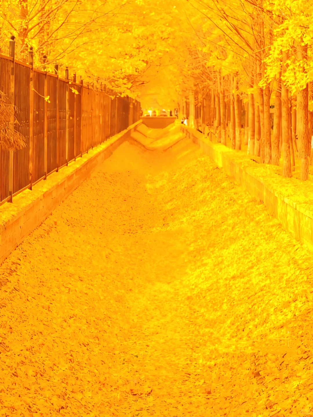 🍁北平之秋~美到失语✨32个宝藏位置快收藏好