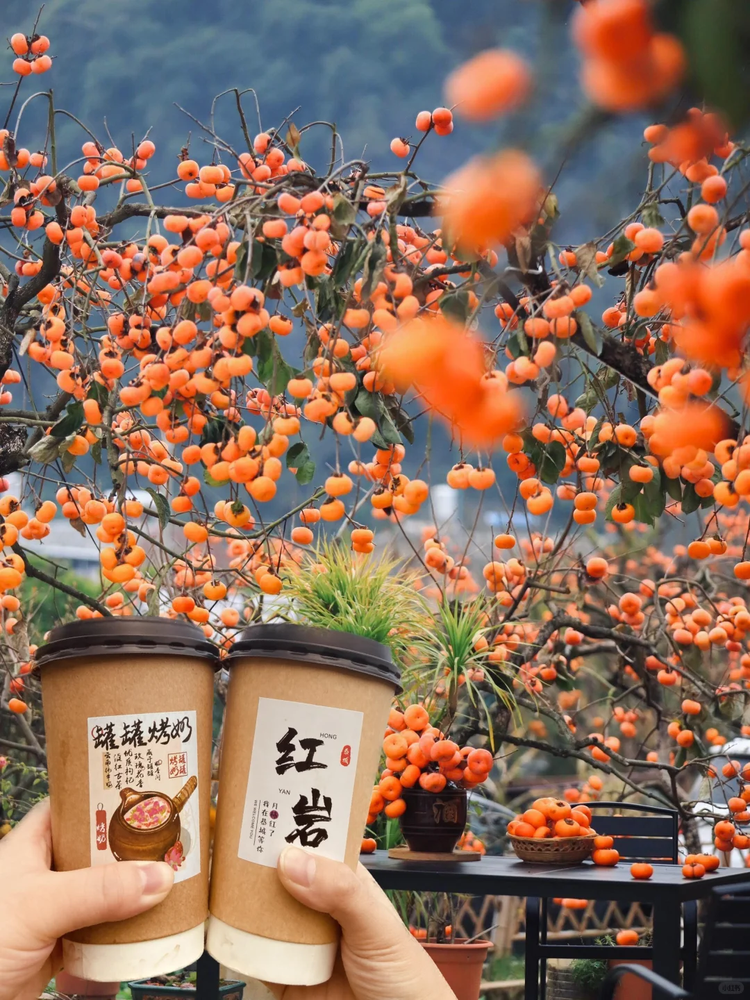 🍅 在广西‼️冷门又好看的超小众旅游地推荐