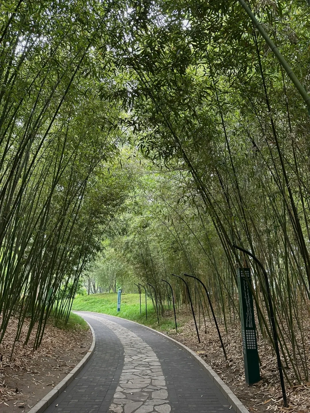 海淀最会玩的女大！必玩公园Top前三！