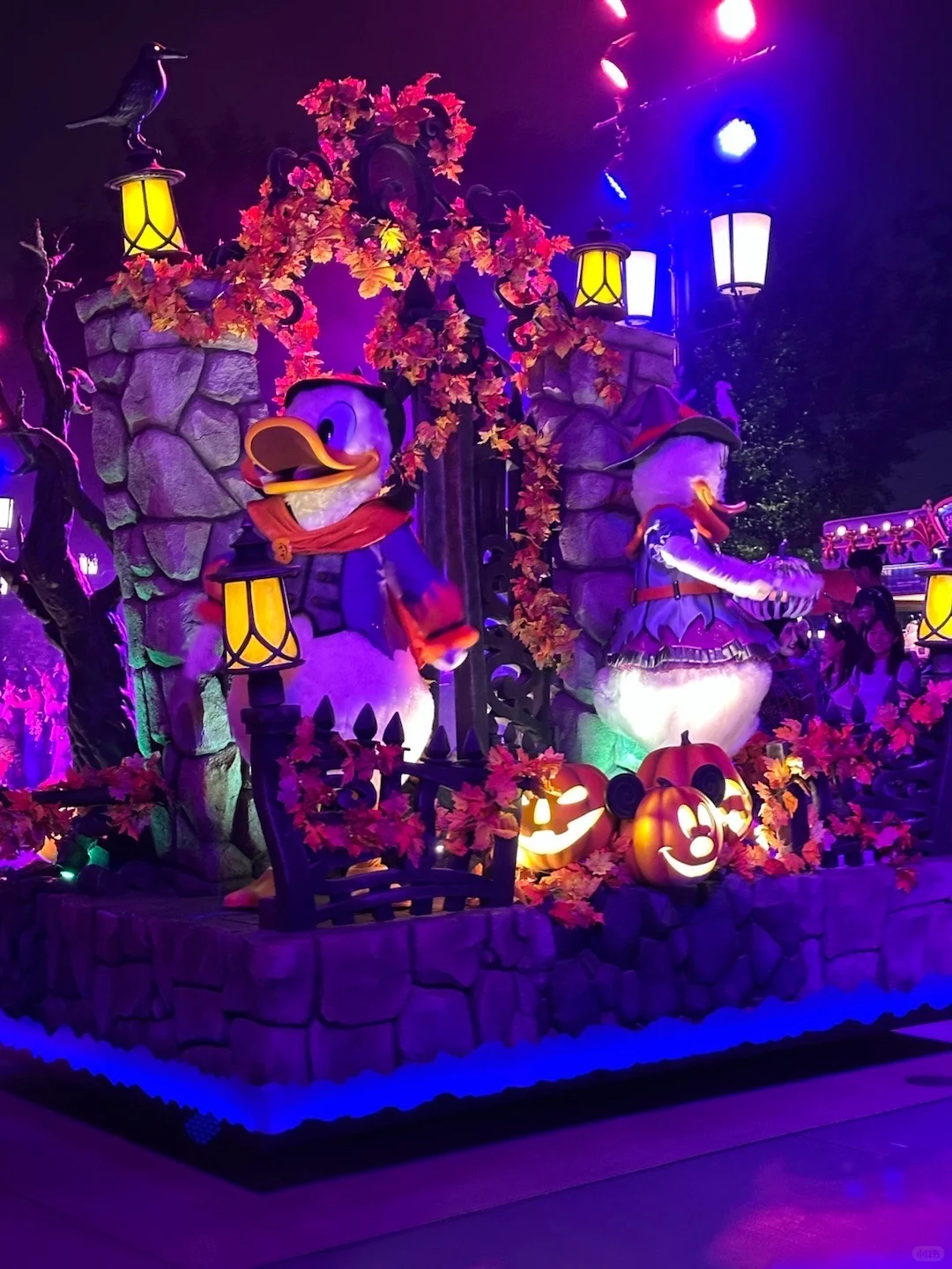 刚发的迪士尼旅游通知！幸好提前看到😭