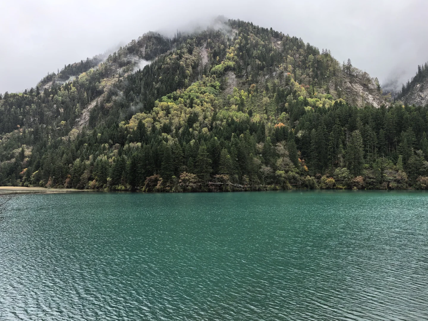 不用匆匆忙忙早起赶九寨沟！