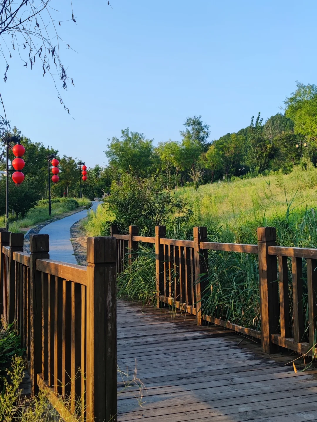 济南长清这个公园太好逛了!🌳附详细攻略