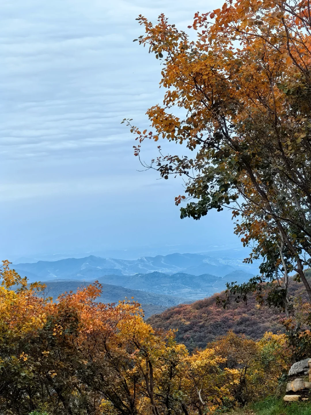 邯郸周边游：佛照山赏绝美红叶