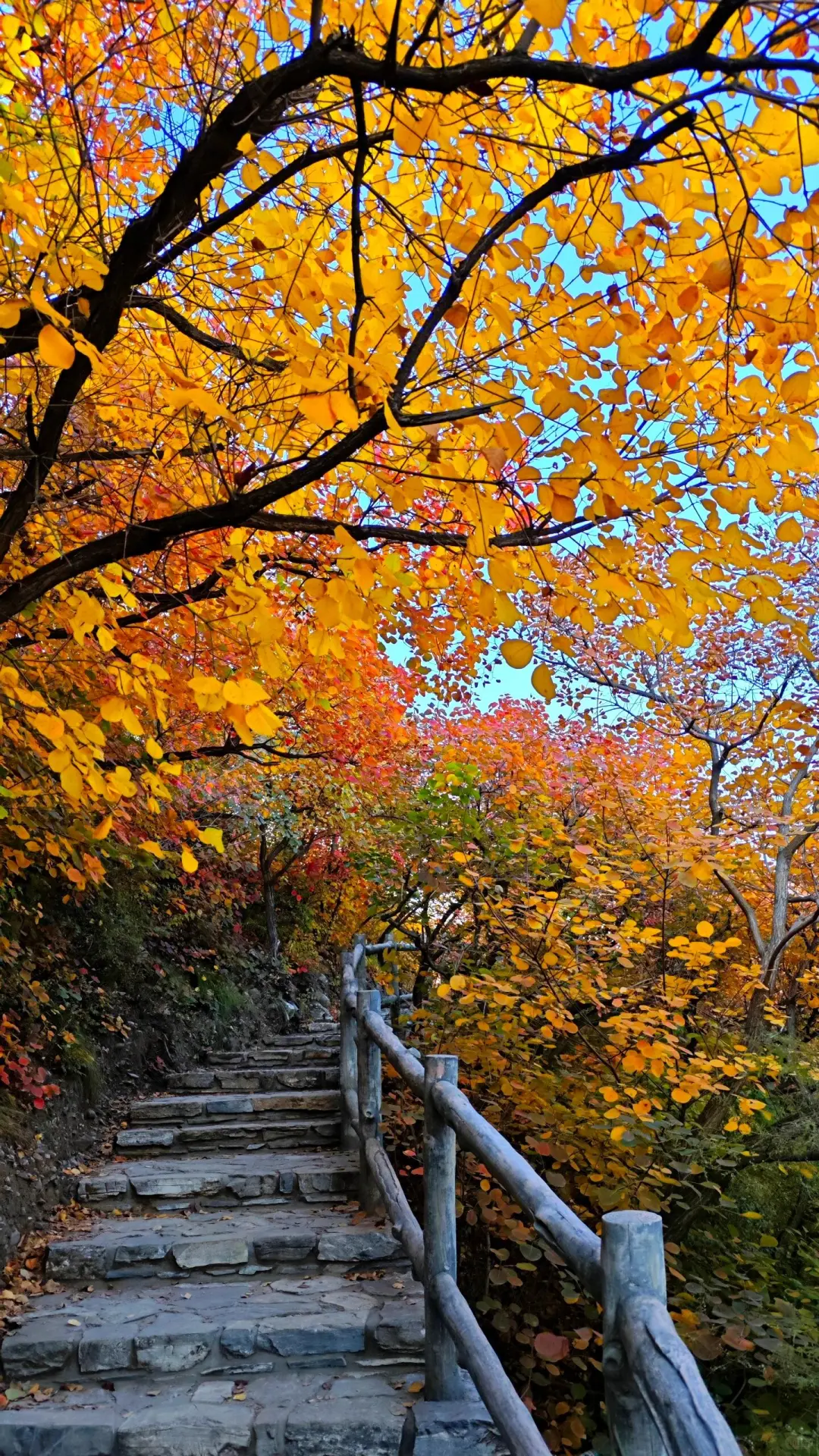 每周一山，本次打卡坡峰岭~附攻略