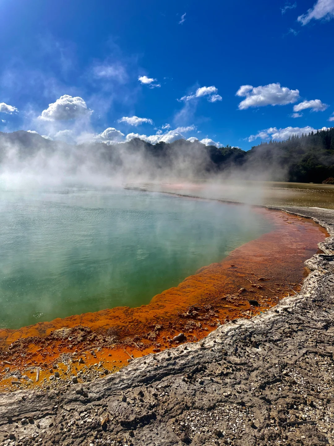 旅行结算｜我的年度live图