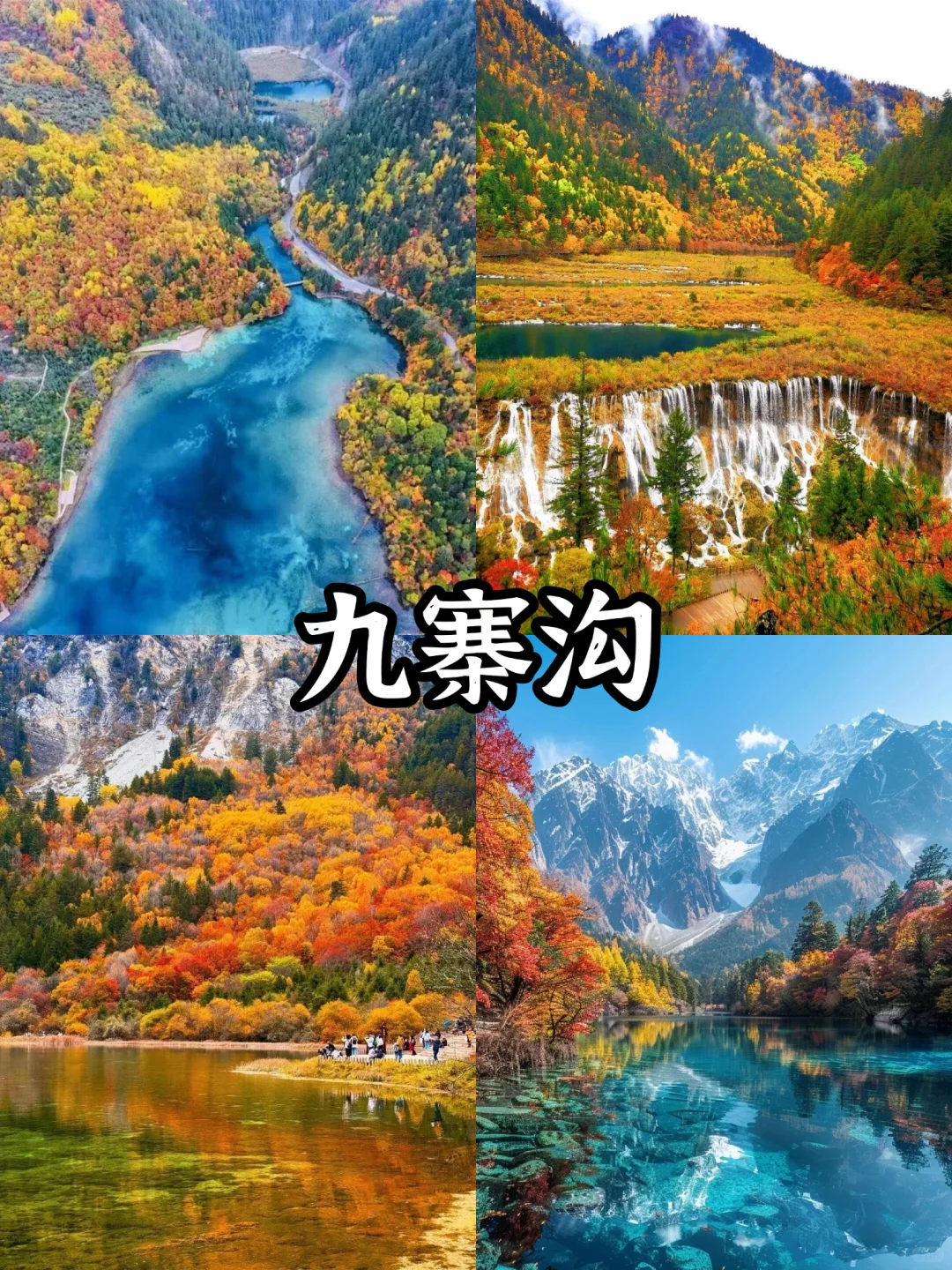懒人双景区|九寨沟+黄龙高铁2天1夜纯玩攻略