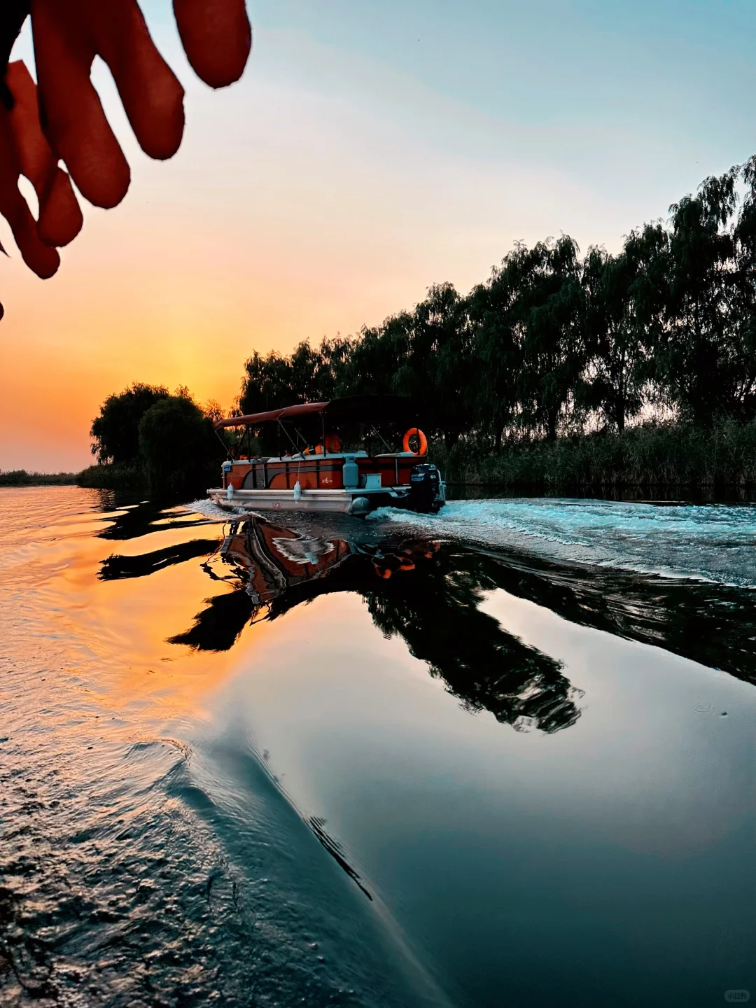 🌾别挤景区了❗️白洋淀的秋日遛娃才惬意🚤