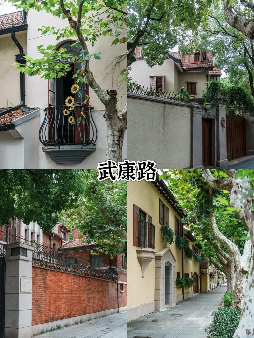 📍上海一日游超详细攻略!亲测不踩雷!!