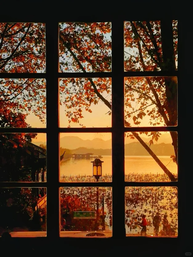 杭州最美的秋景都是免费的🍂附机位!