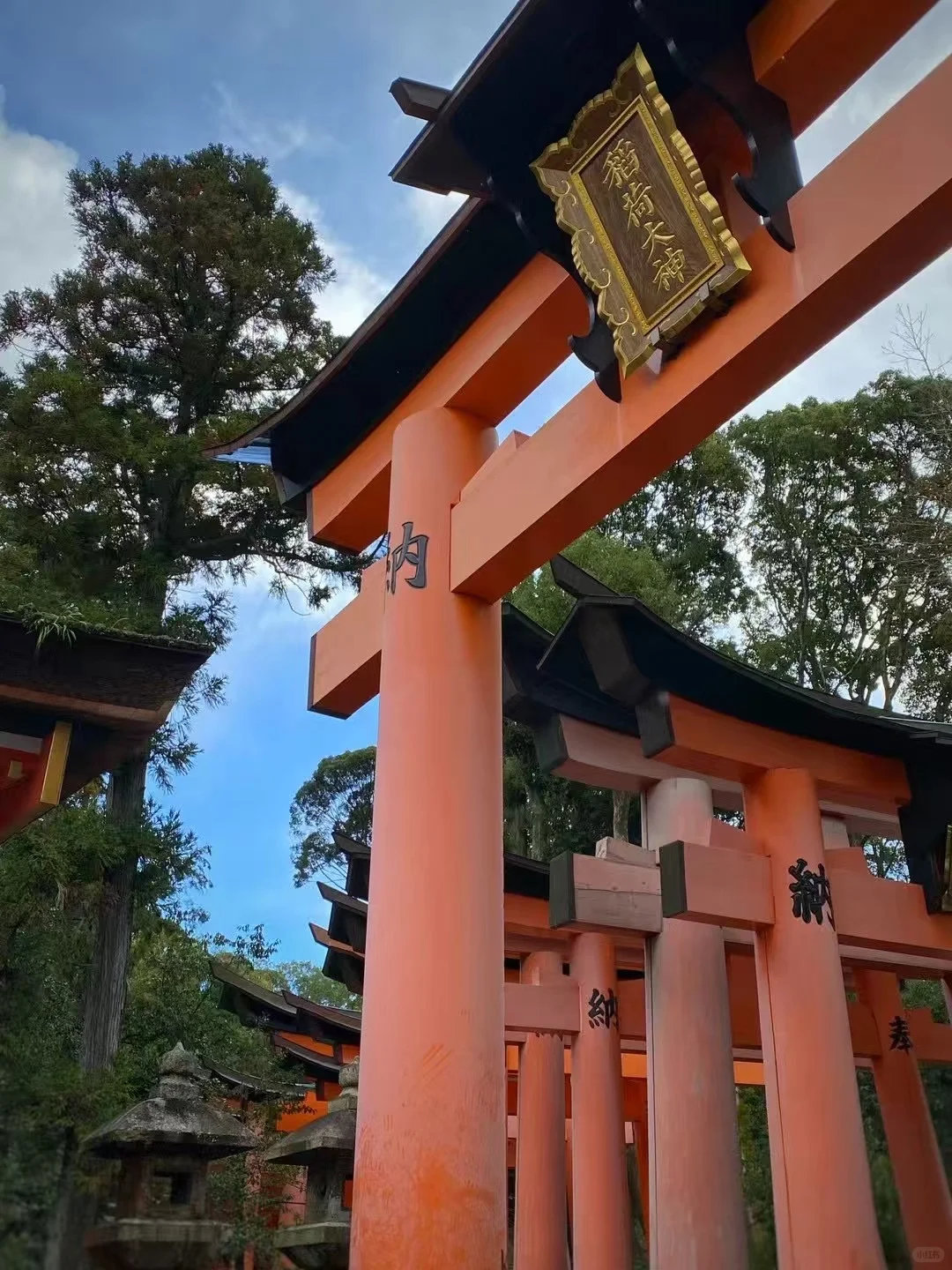 🍁京都红叶季要来了|秋天限定的京都!