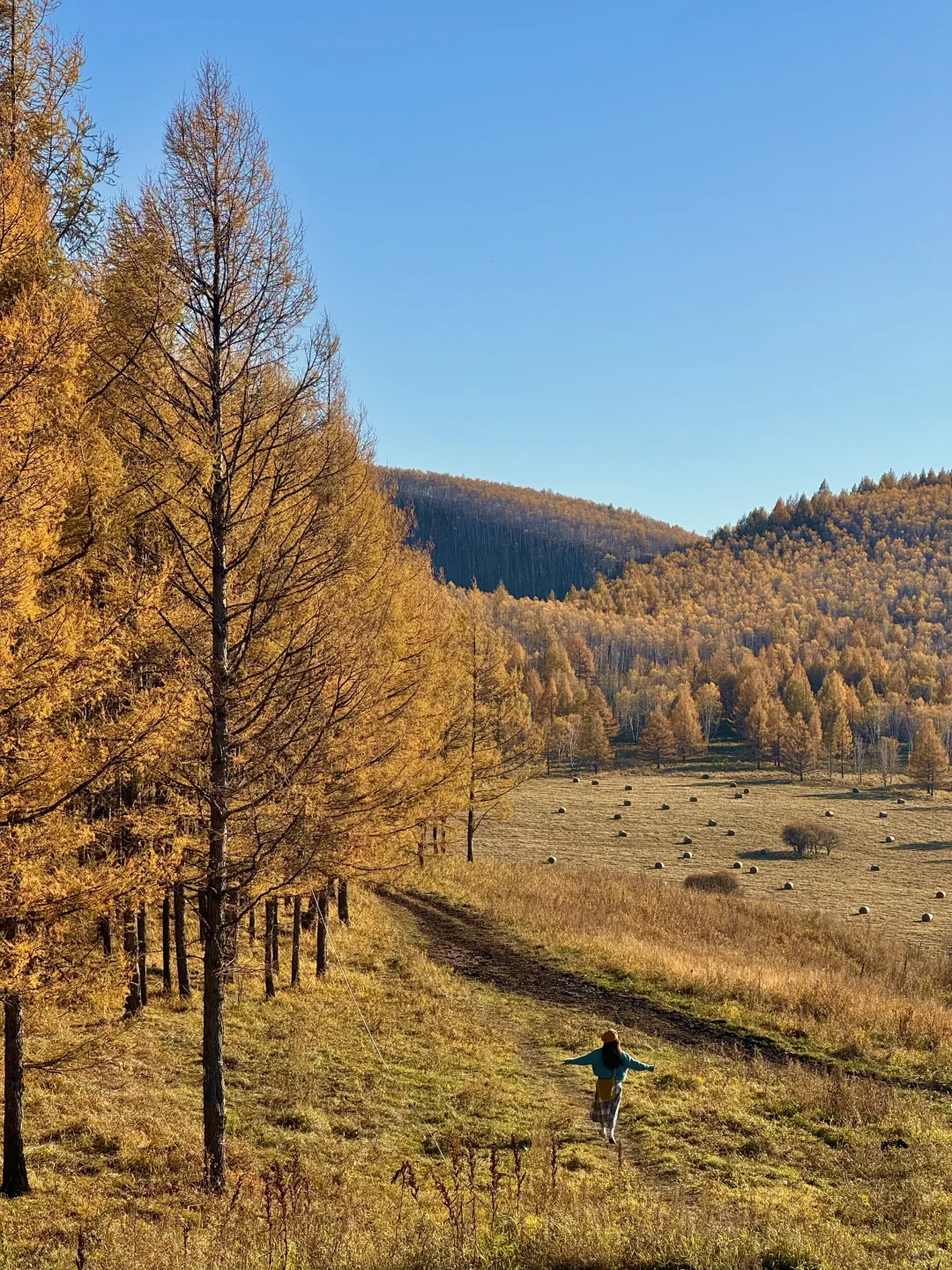 📍阿尔山！18张神级人生live！🥺太美了……