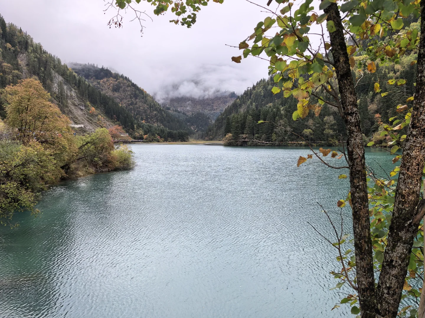 不用匆匆忙忙早起赶九寨沟!