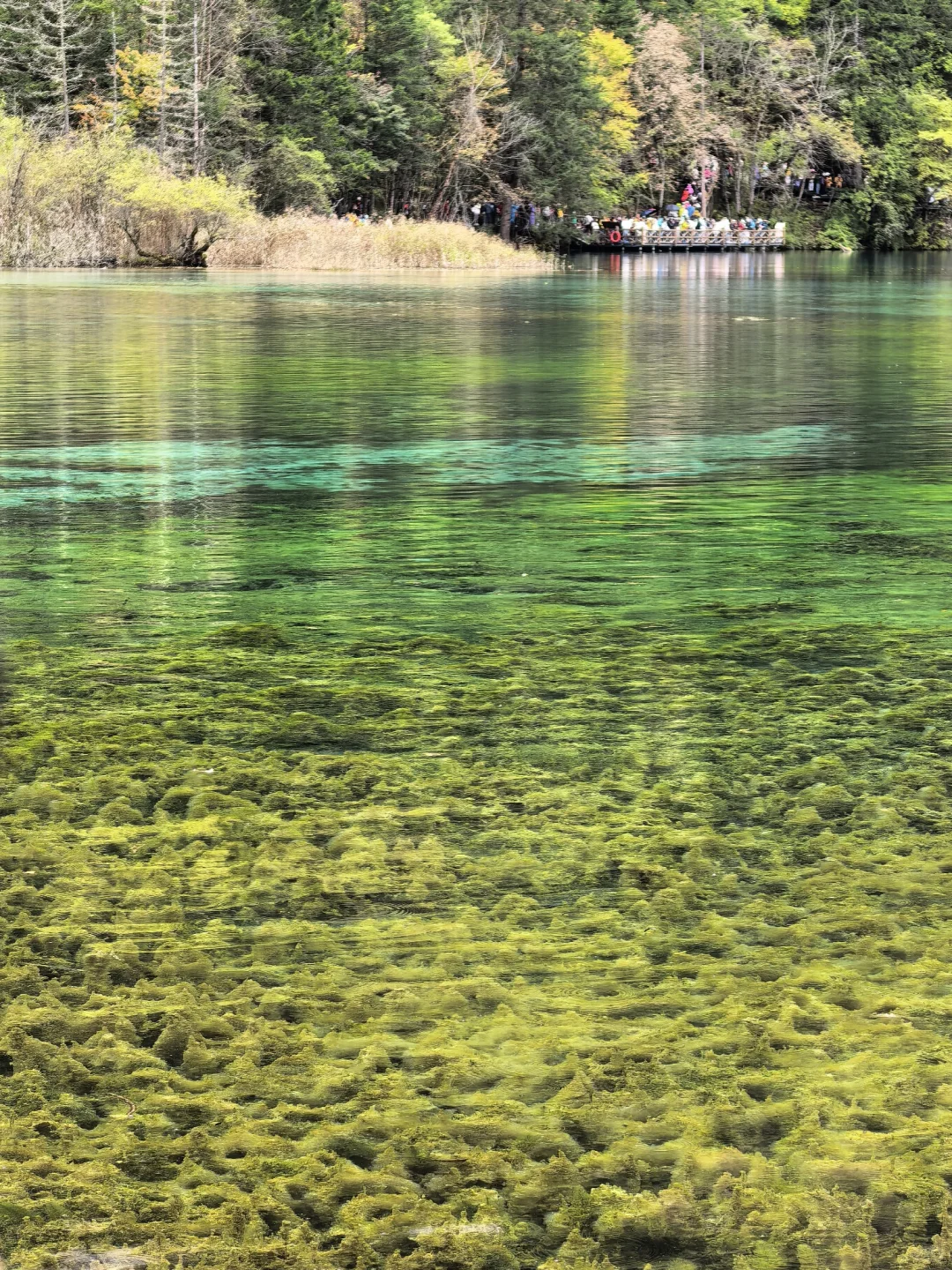 不用匆匆忙忙早起赶九寨沟！