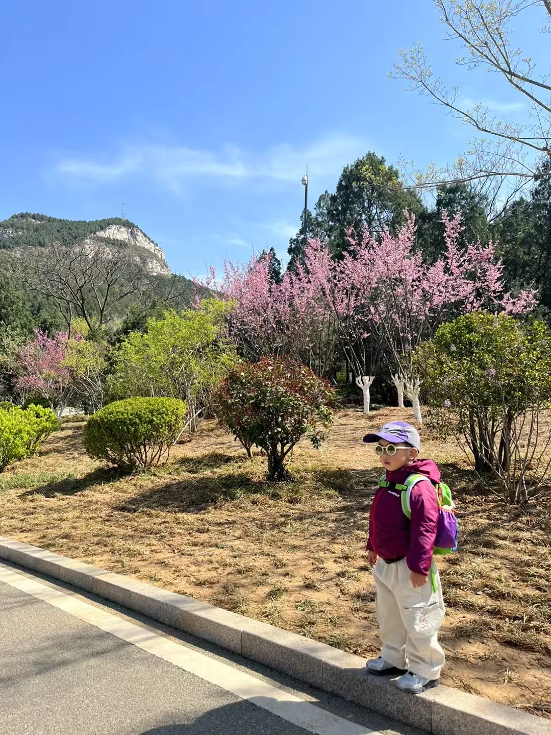 3岁坚持每周一山后，真的后悔了！附攻略