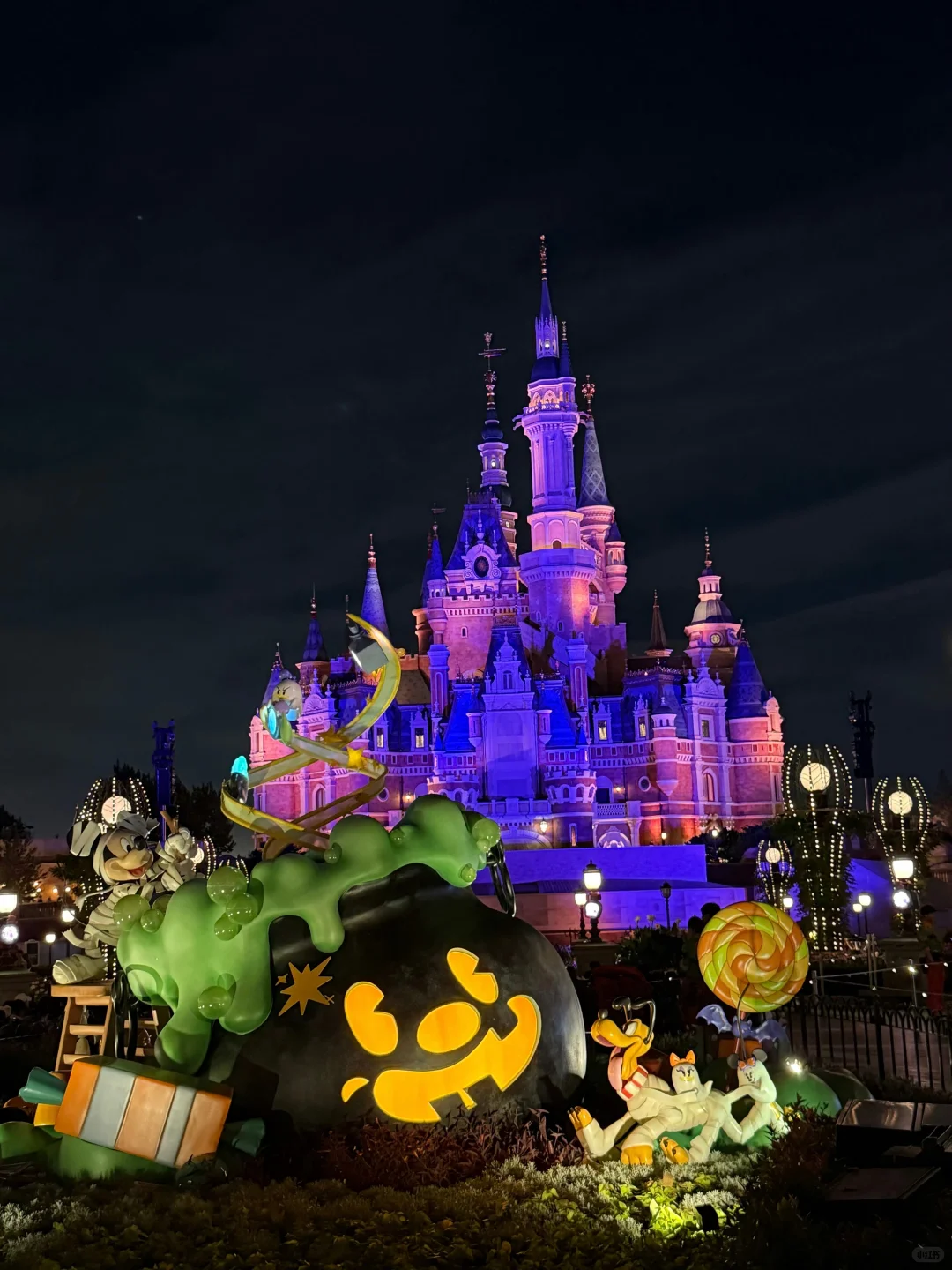 刚发的迪士尼旅游通知!幸好提前看到😭