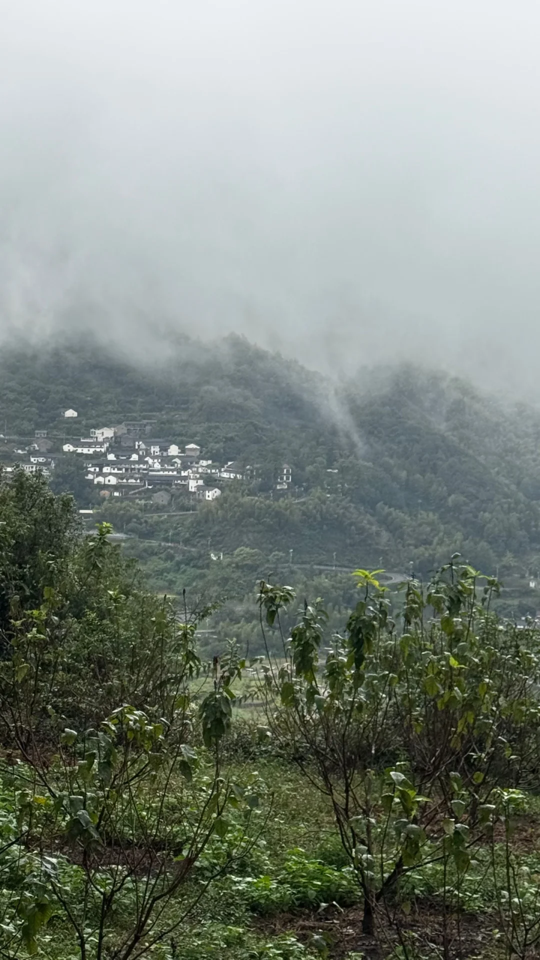 上海出发 江浙徒步 周末去哪里｜覆卮山⛰️