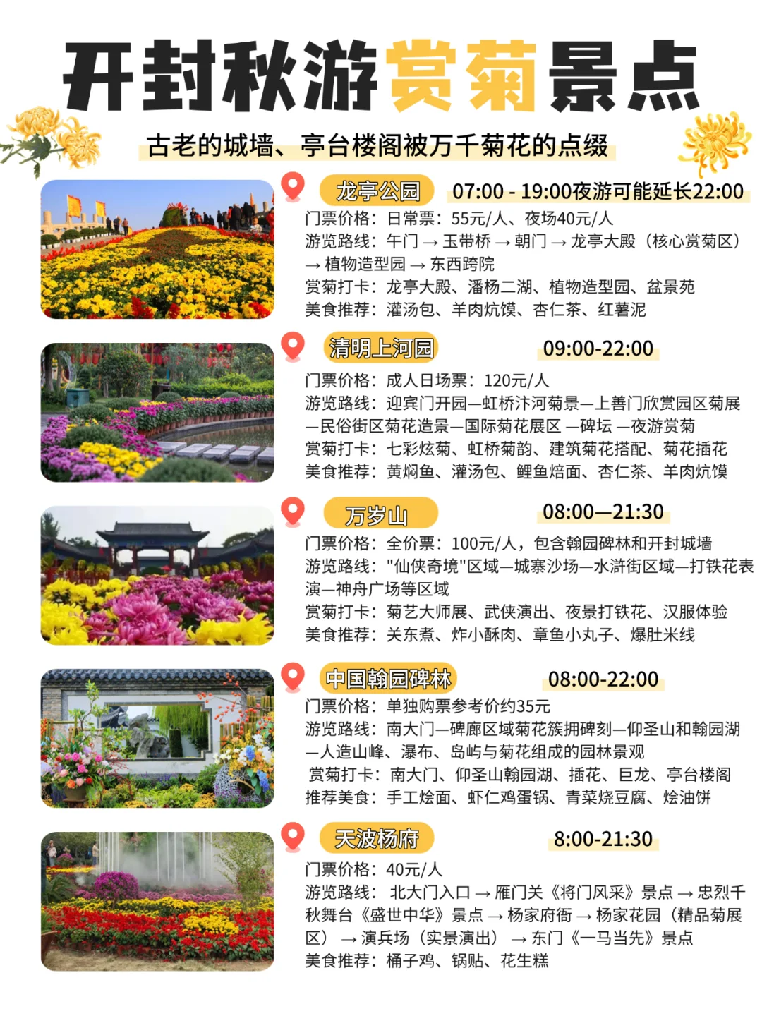 赏秋顶流‼️被河南开封菊展拿捏，太全面啦