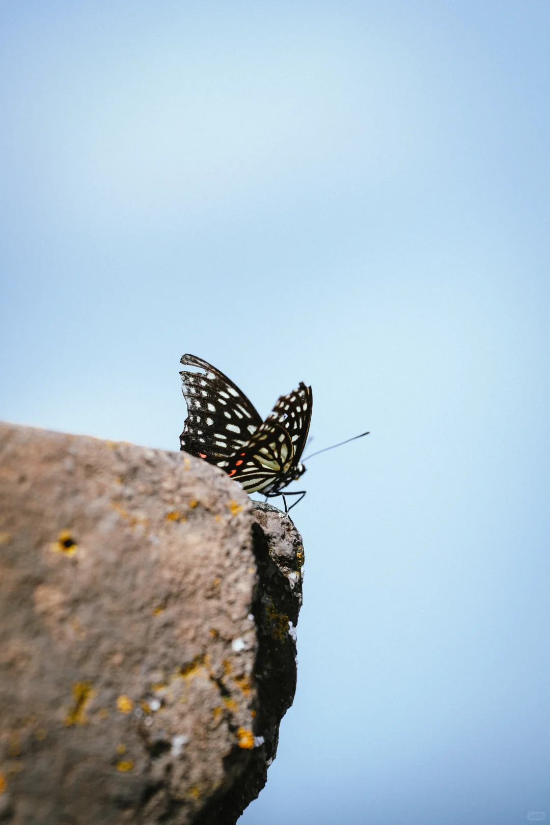 记住！醉美长城在河北金山岭！