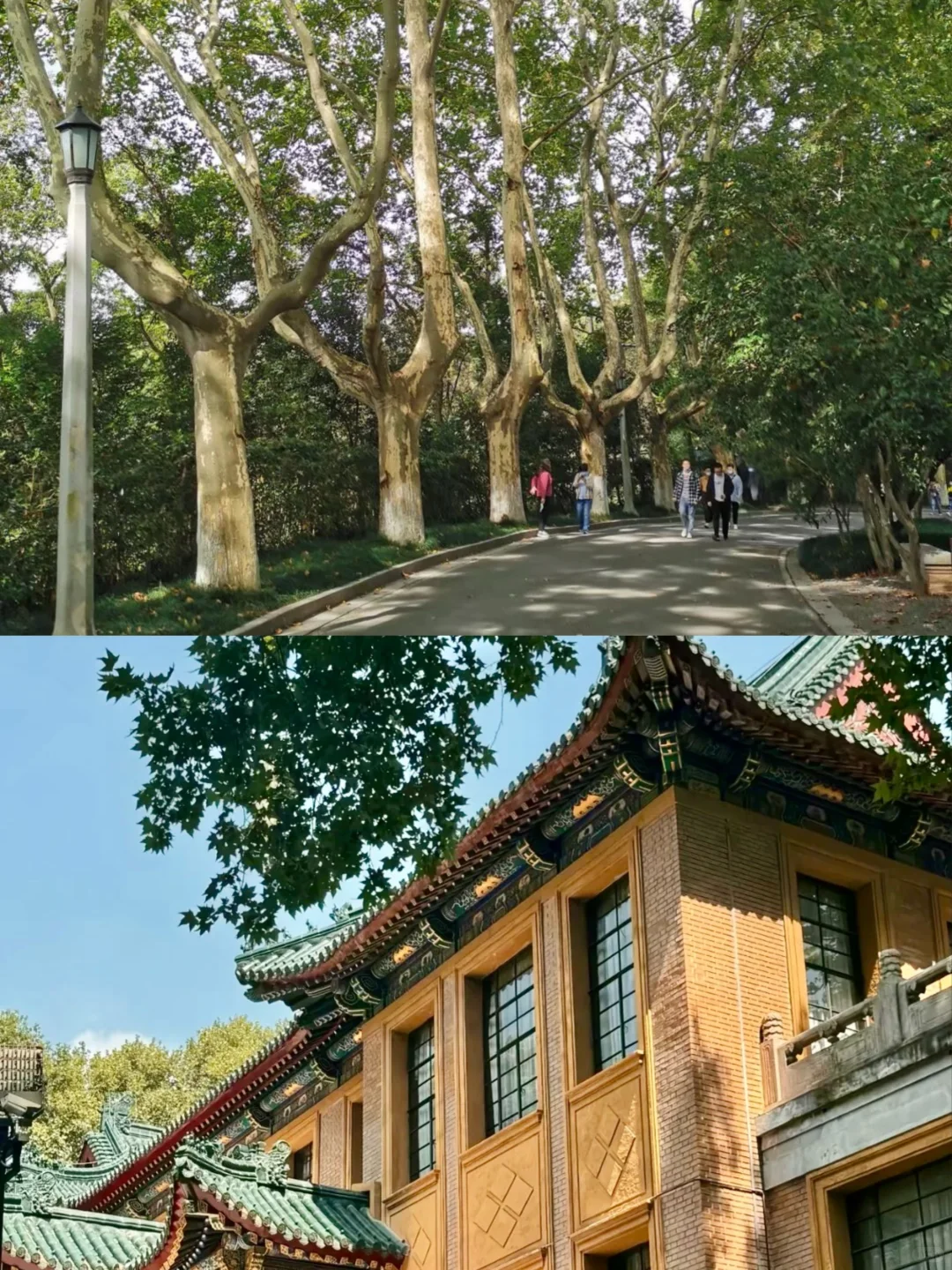 📍南京三天两夜｜保姆级旅游攻略不绕路