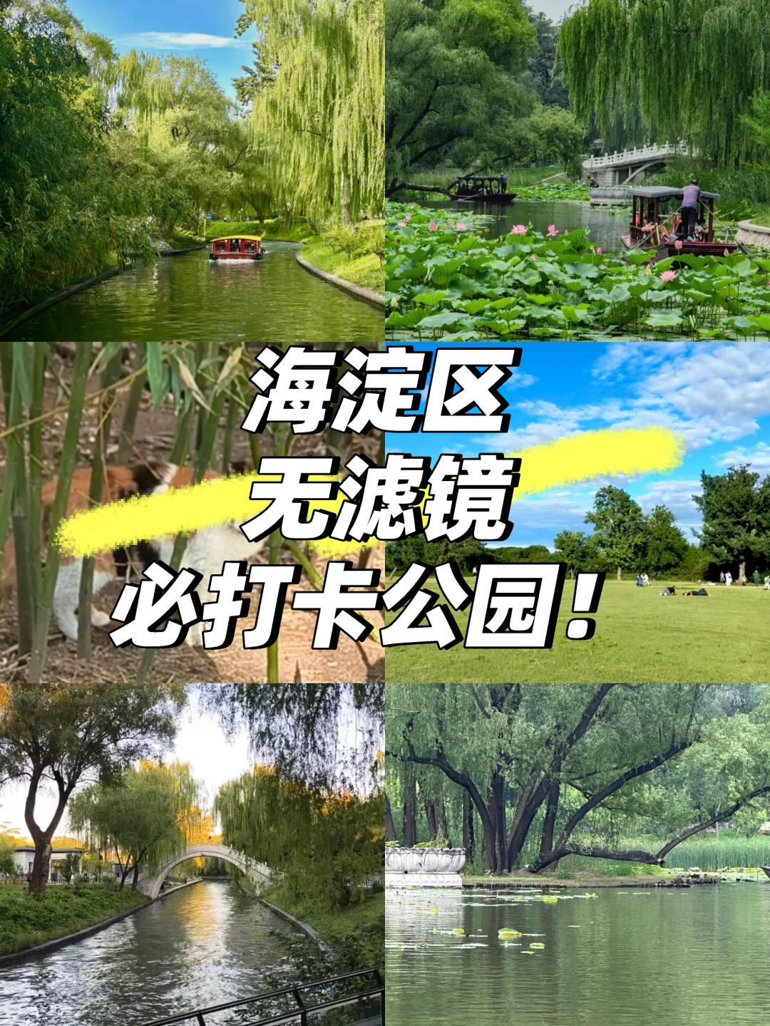 海淀最会玩的女大！必玩公园Top前三！