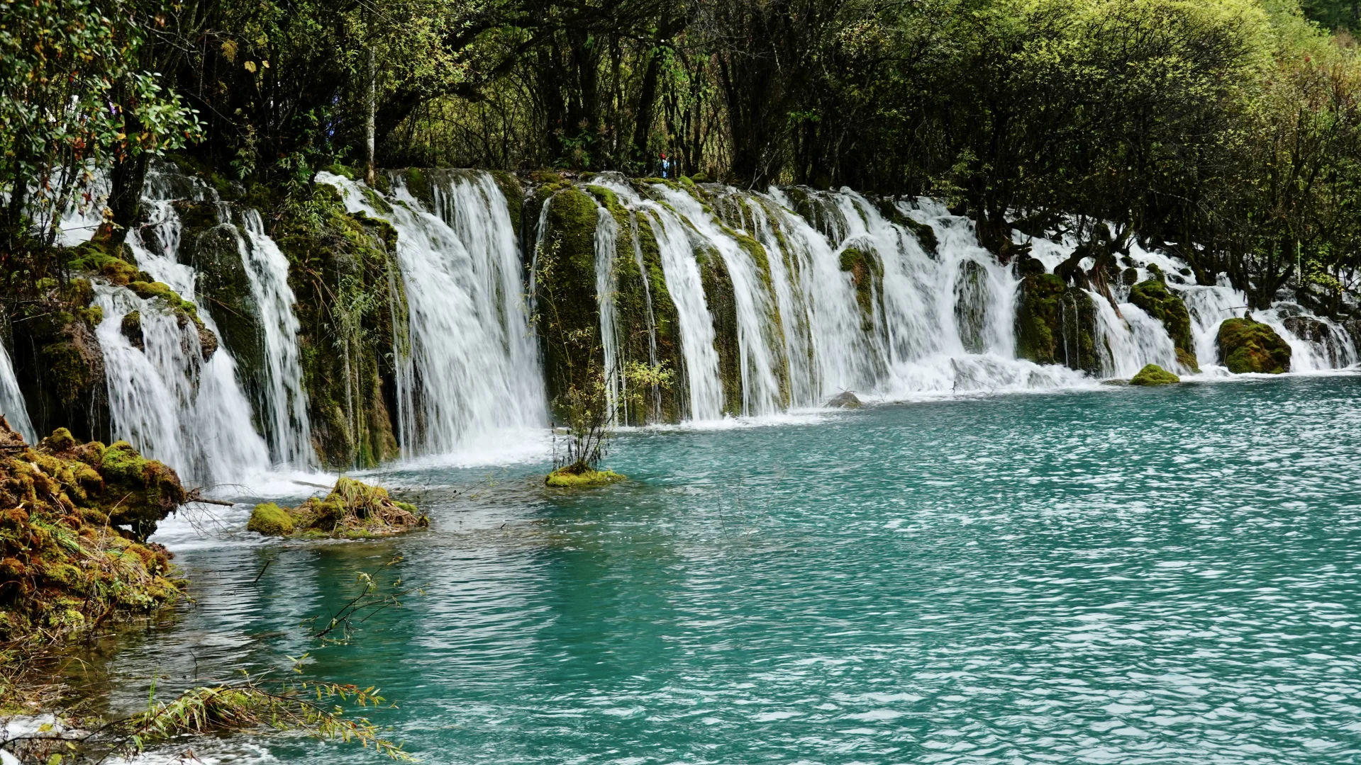 九寨沟·箭竹海瀑布