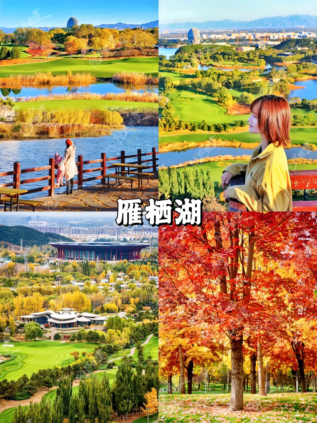 9-11月北京赏秋团建🍂大厂同款抄作业❗