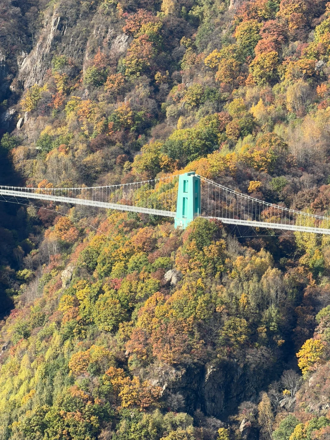 独属北京十月的绝美风景📍百瑞谷保姆级攻略