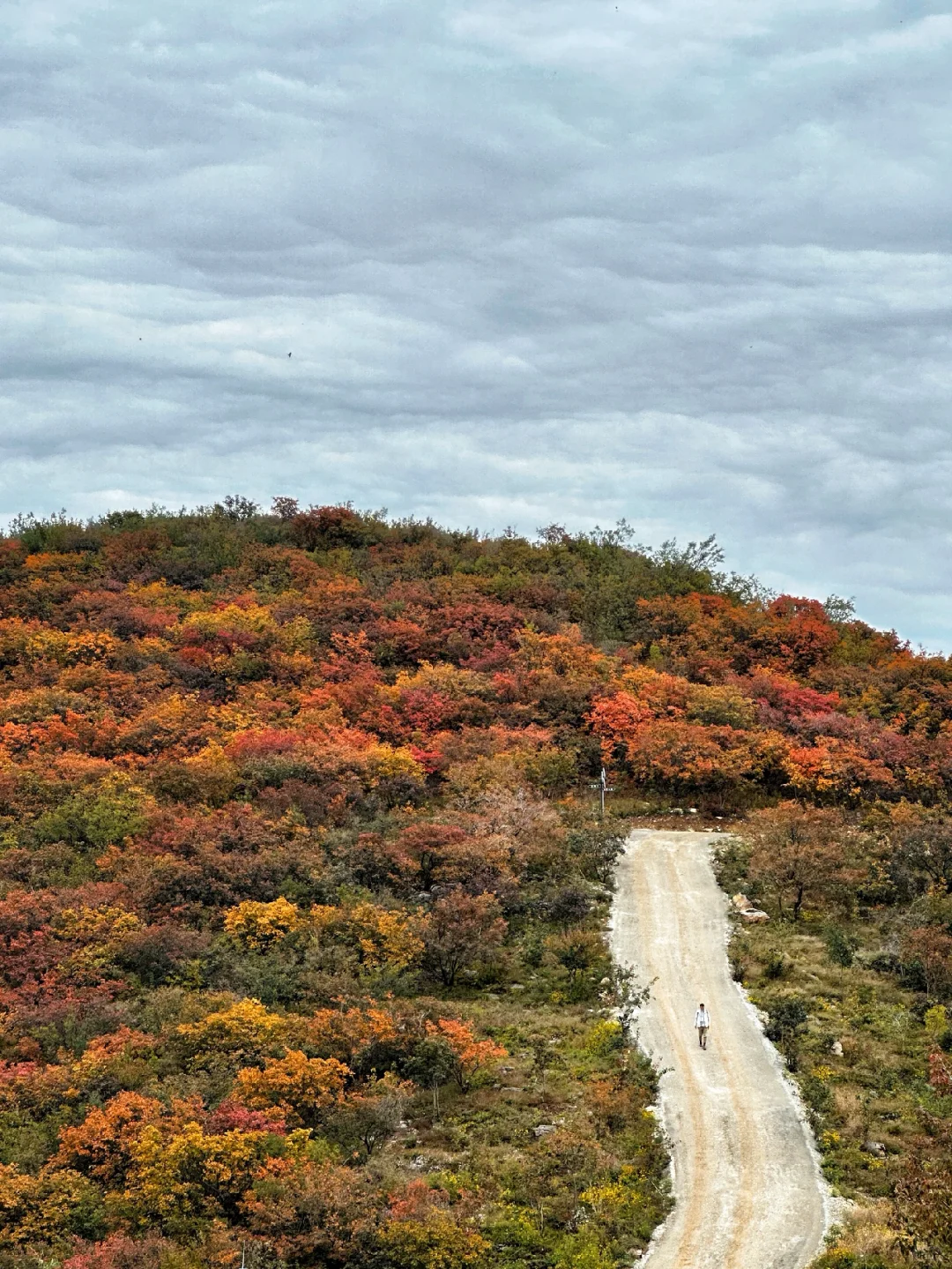 邯郸周边游：佛照山赏绝美红叶