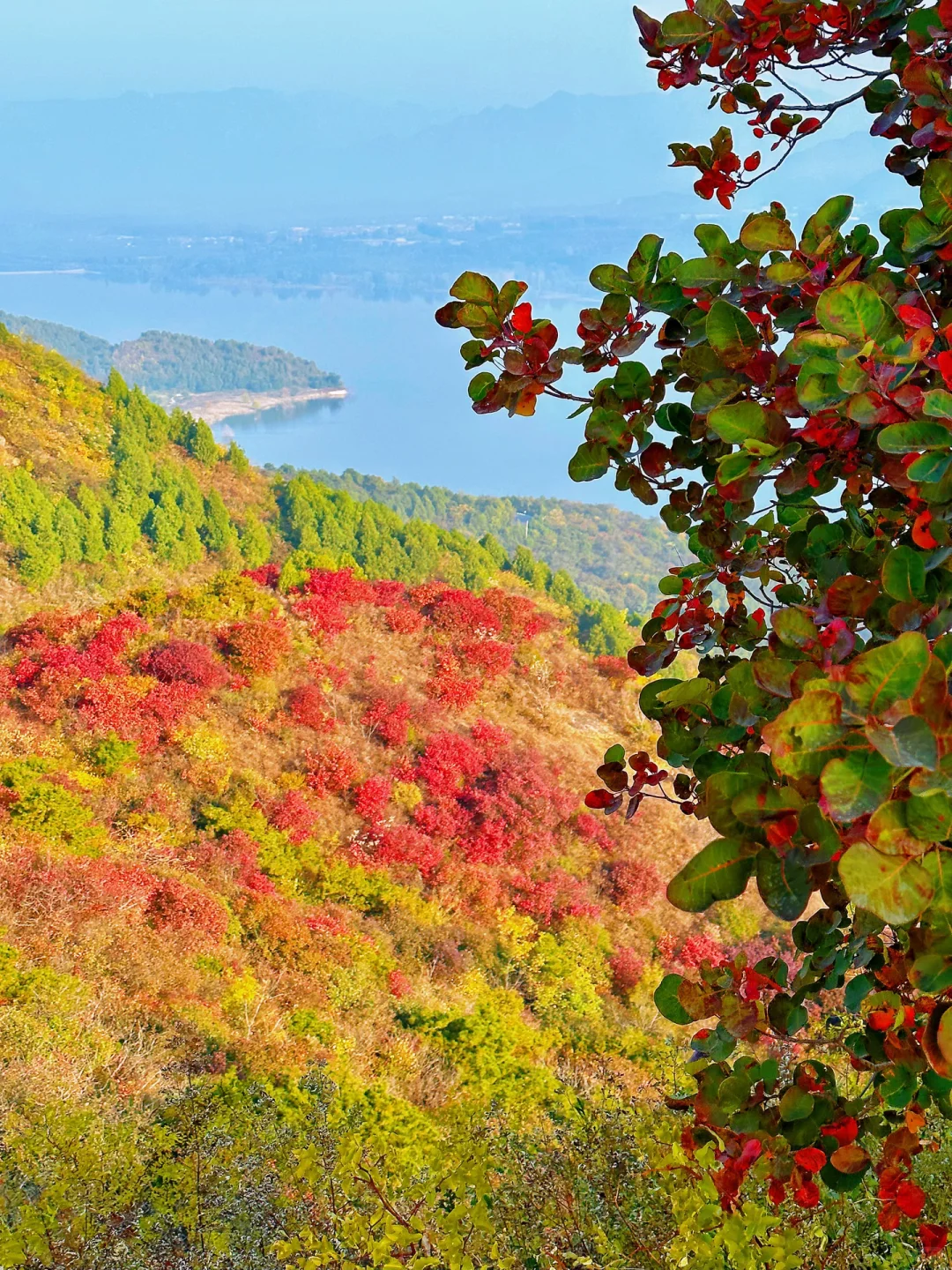 接下来，北京这个半红半绿登山步道将美成画