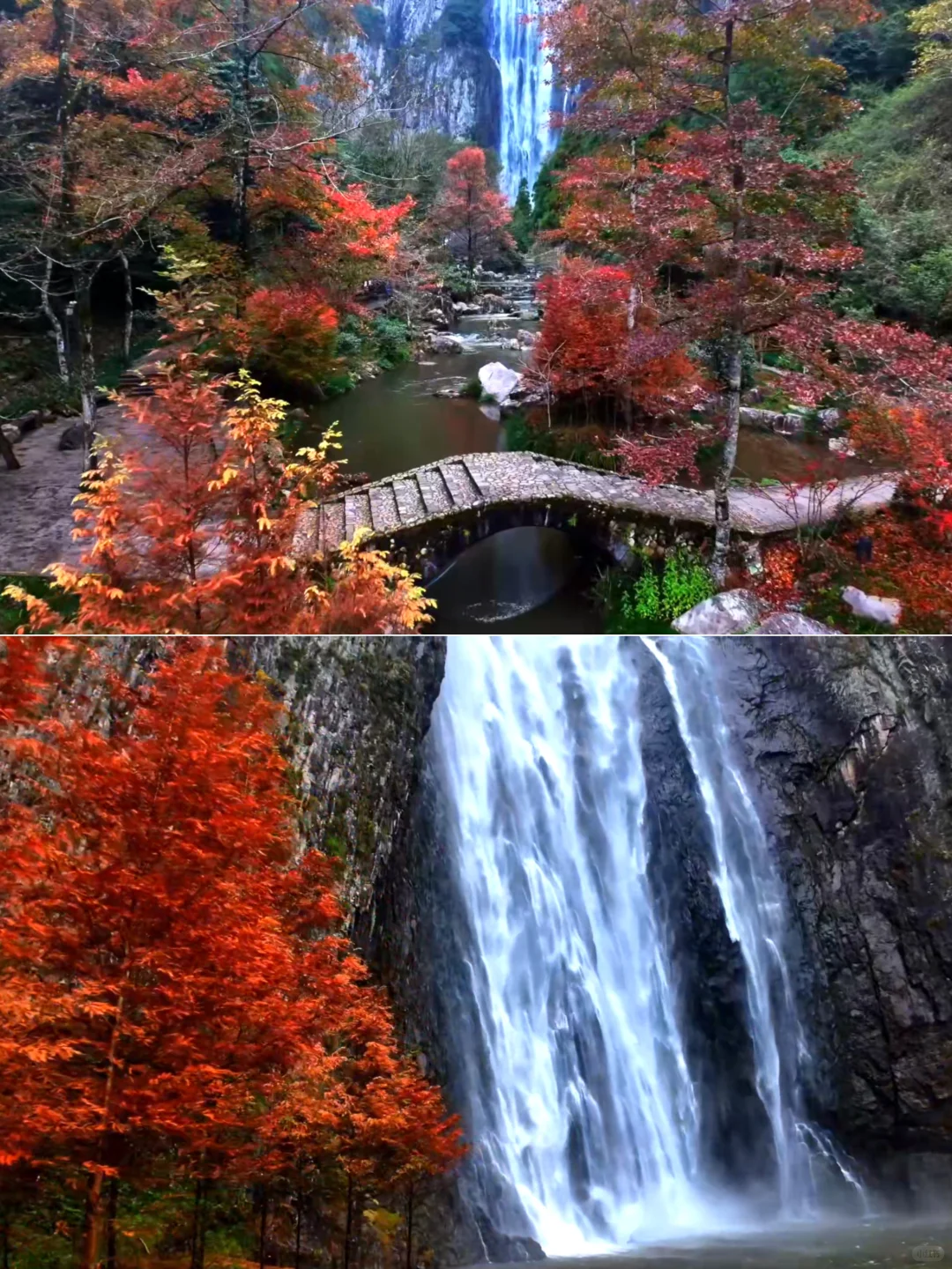 温州文旅这么宠么，凭机票免费玩80家景区？