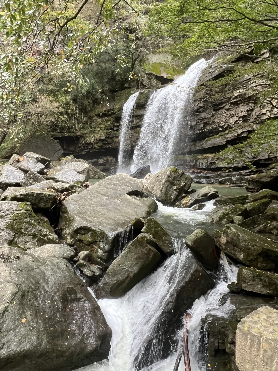 黎坪国家森林公园