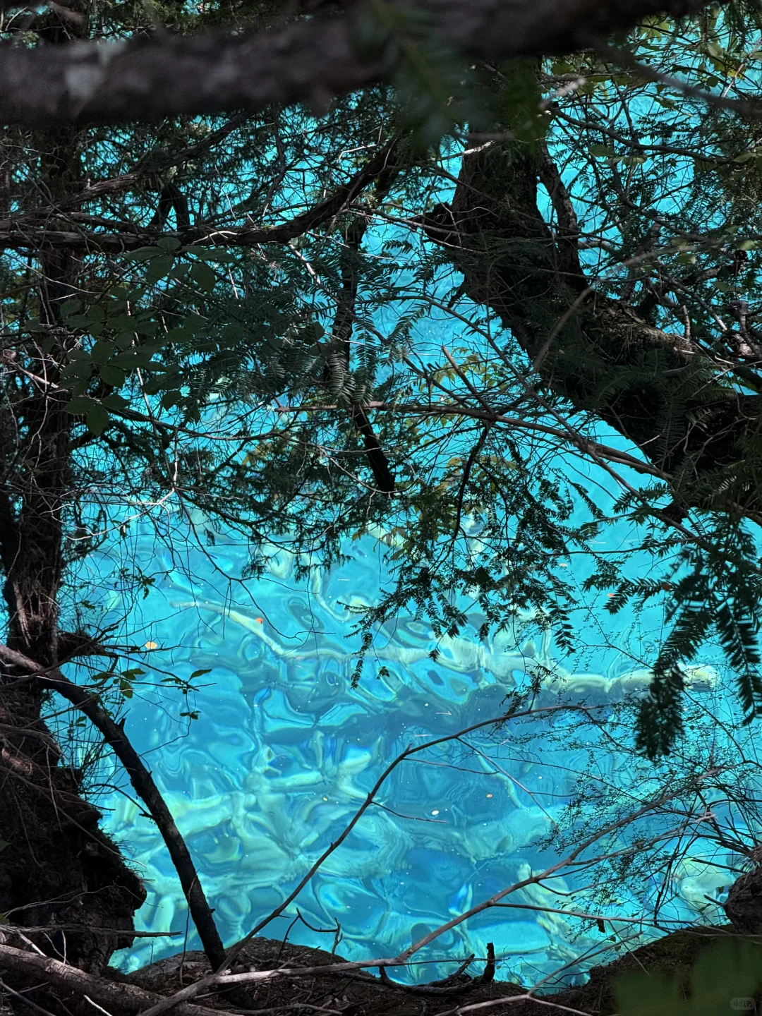 避开人流高峰的超美超详细九寨沟线路