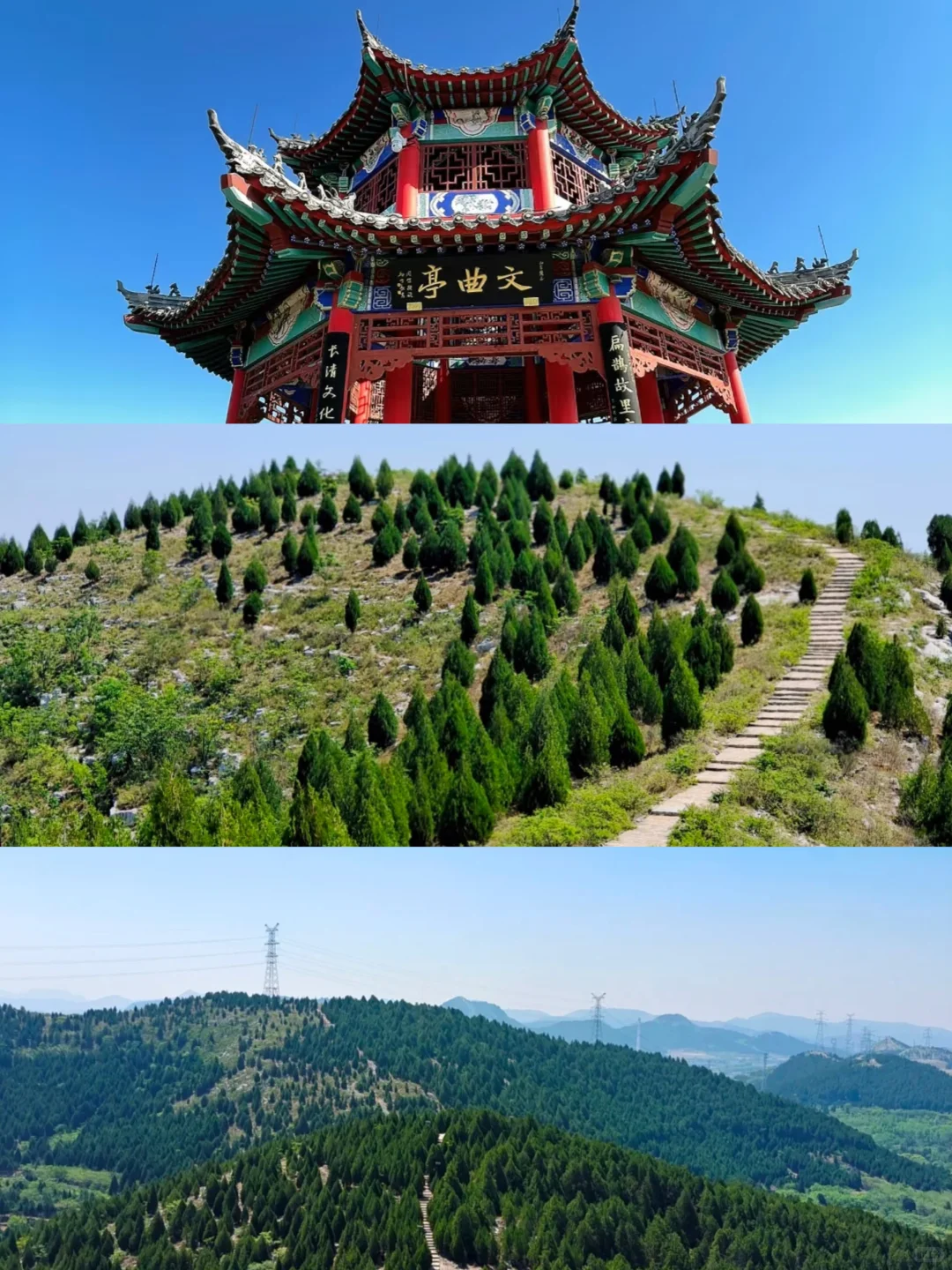 济南长清这个公园太好逛了!🌳附详细攻略