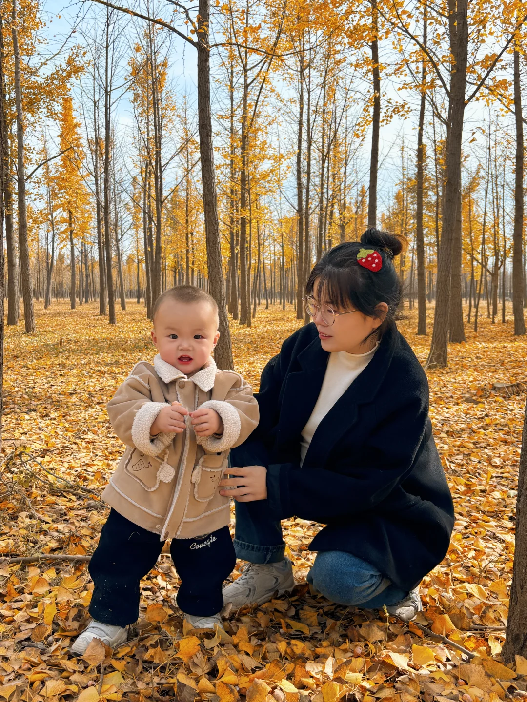 11.5邯郸银杏林今日实况，真的太美了～