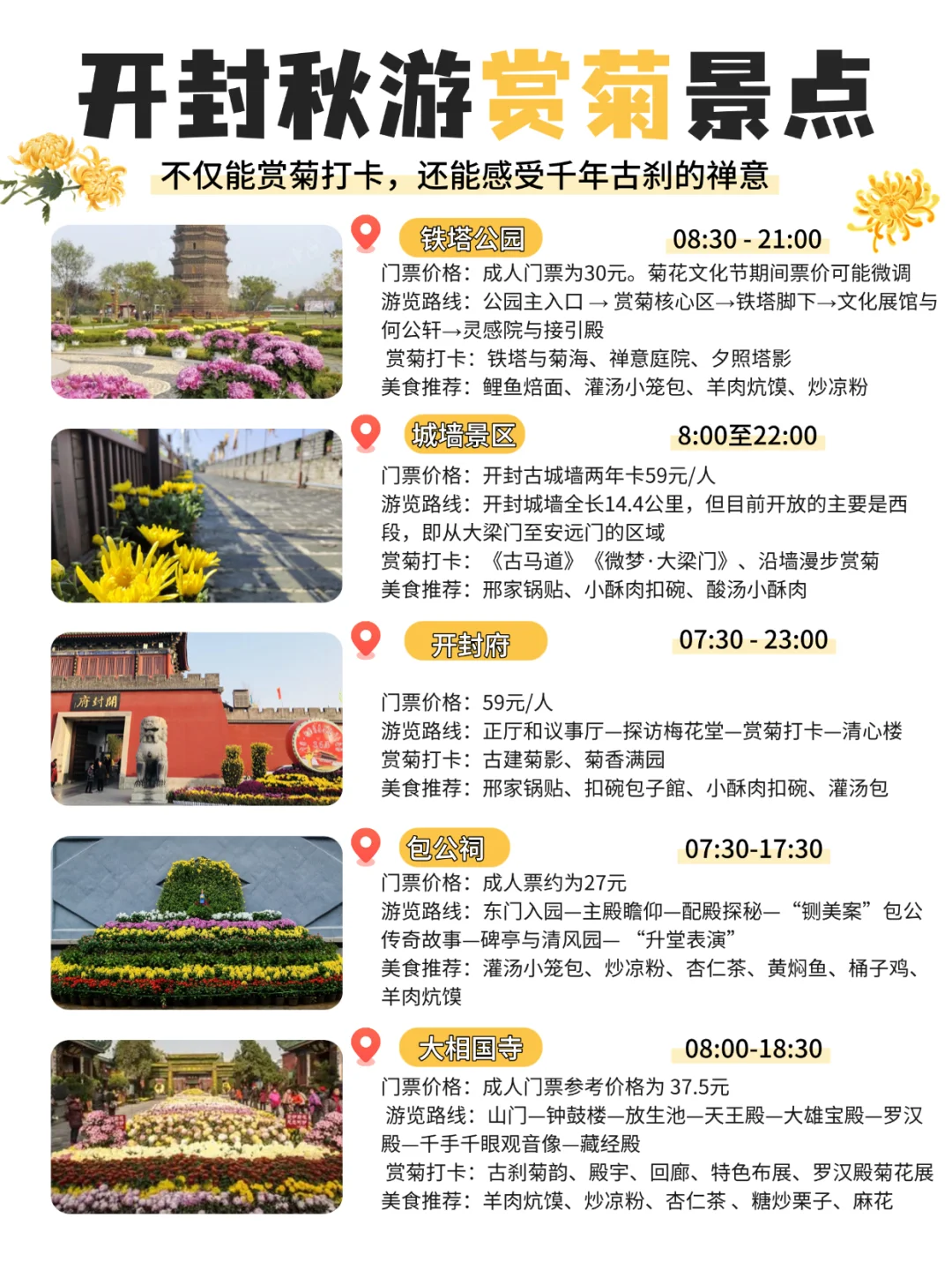 赏秋顶流‼️被河南开封菊展拿捏，太全面啦