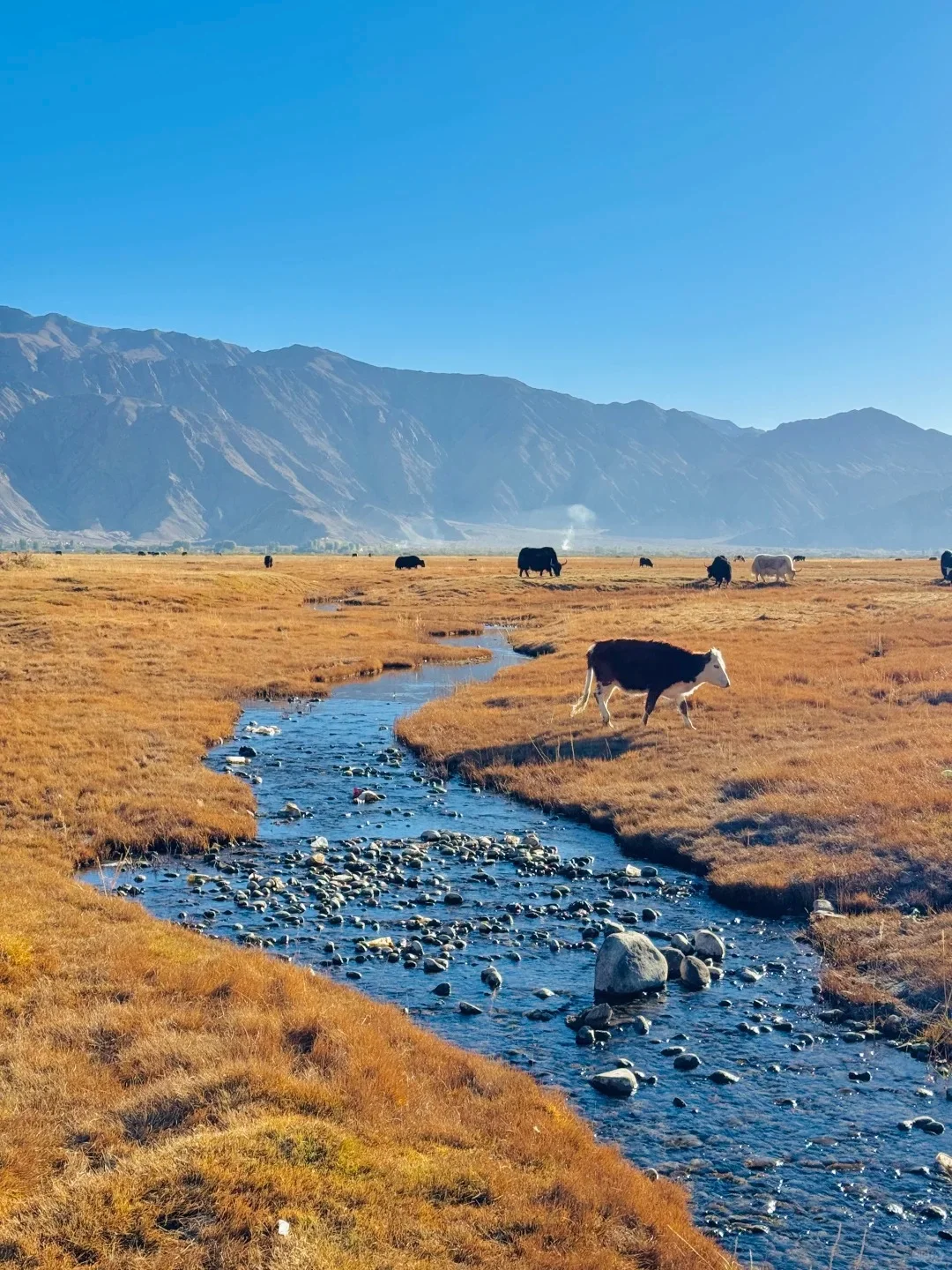 10月份的南疆绝了!很难没有戒断反应。。。
